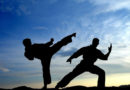 Martial Arts – Videos